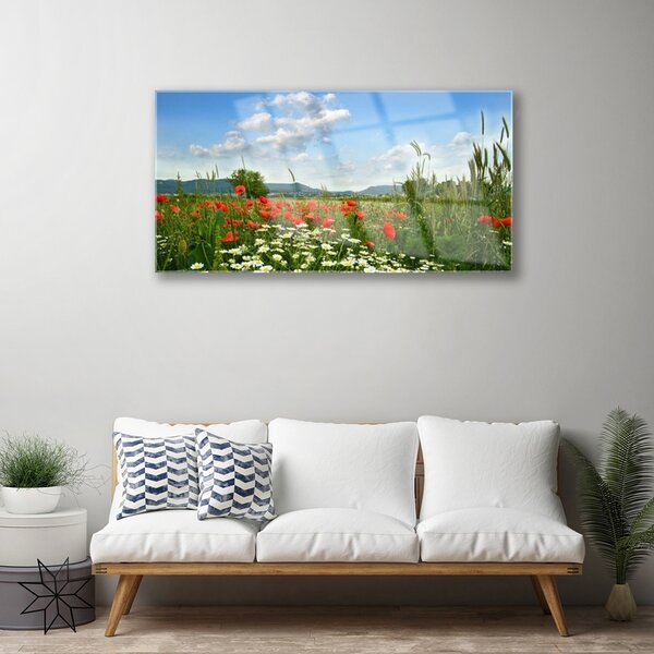Quadro in vetro Prato Fiori Natura Pianta 100x50 cm 2 appendini