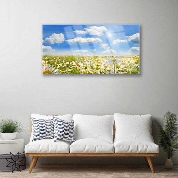 Quadro in vetro Daisy Meadow Natura 100x50 cm 2 appendini
