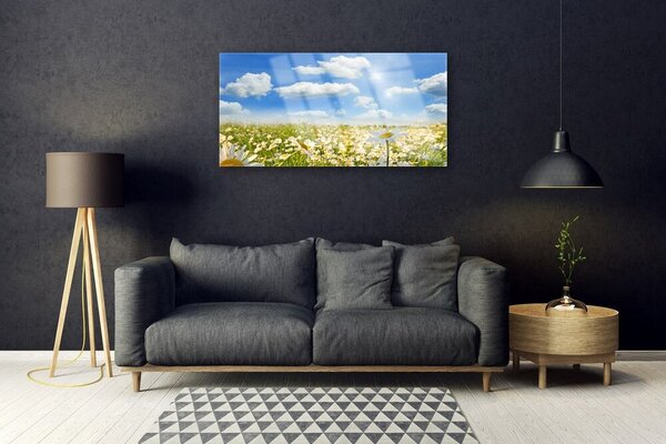 Quadro in vetro Daisy Meadow Natura 100x50 cm 2 appendini