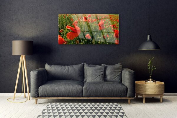 Quadro in vetro Papaveri Pianta Naturale 100x50 cm 2 appendini