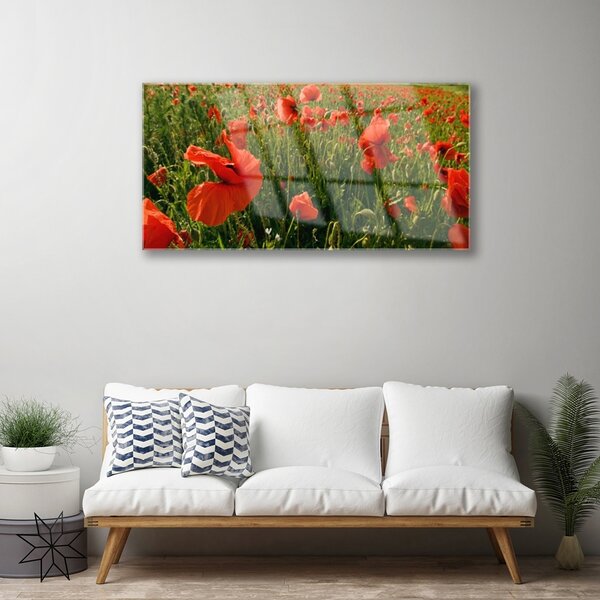 Quadro in vetro Papaveri Pianta Naturale 100x50 cm 2 appendini