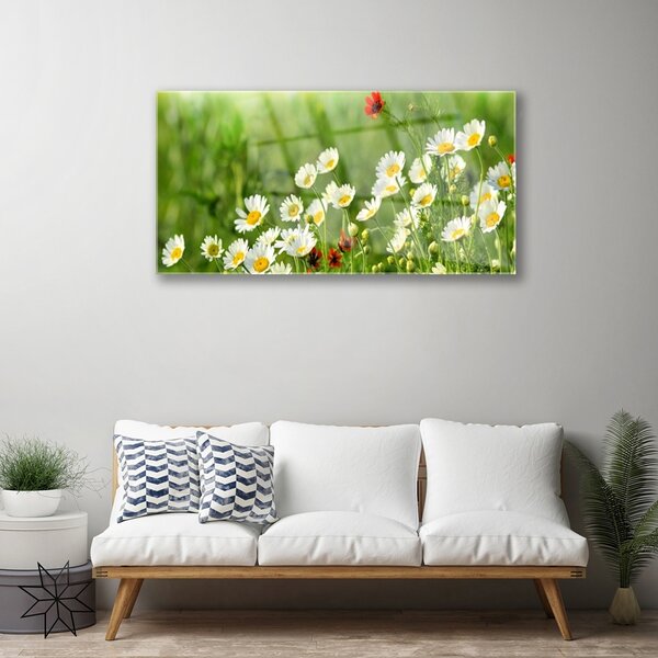 Quadro su vetro Pianta naturale margherita 100x50 cm 2 appendini
