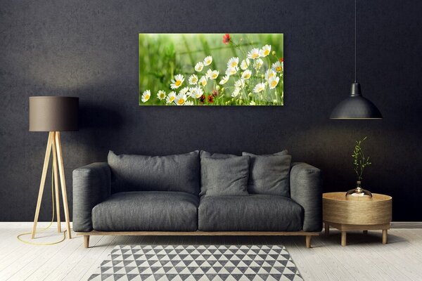 Quadro su vetro Pianta naturale margherita 100x50 cm 2 appendini