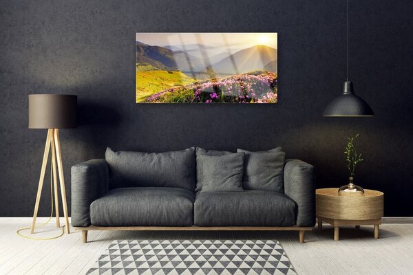 Quadro in vetro Paesaggio dei prati di montagna 100x50 cm 2 appendini