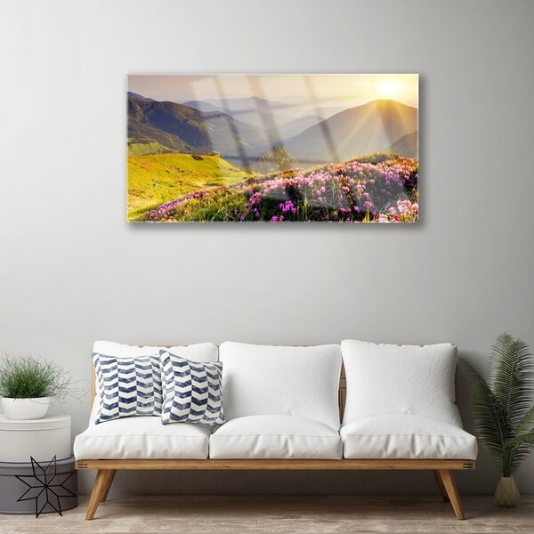 Quadro in vetro Paesaggio dei prati di montagna 100x50 cm 2 appendini