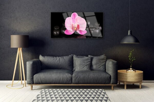 Quadro su vetro Pietre da fiore Pianta 100x50 cm 2 appendini