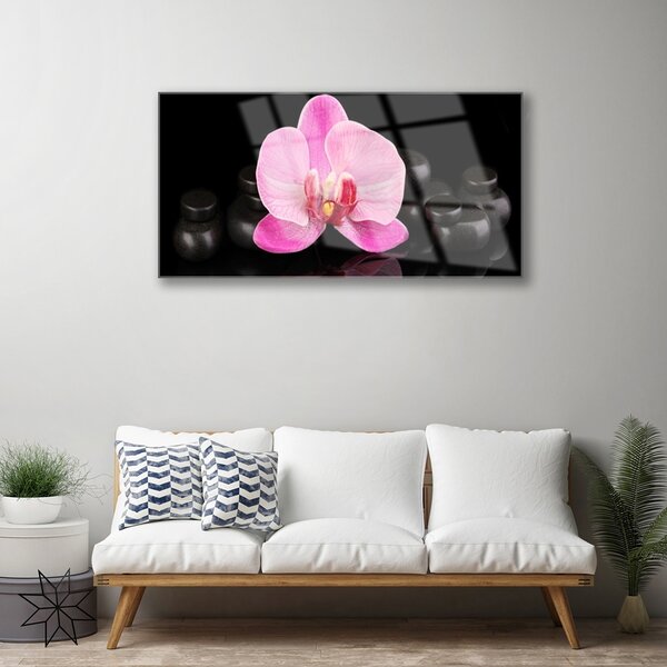 Quadro su vetro Pietre da fiore Pianta 100x50 cm 2 appendini