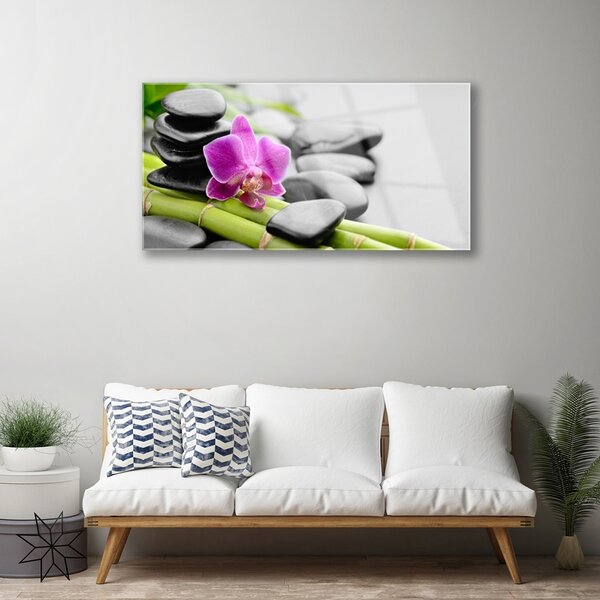 Quadro vetro Pietre di fiori di bambù Arte 100x50 cm 2 appendini