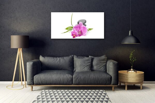 Quadro vetro Pietre da fiore Pianta 100x50 cm 2 appendini