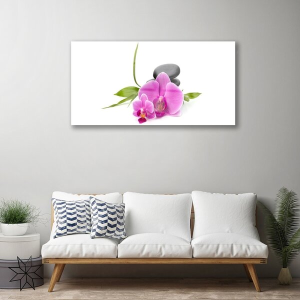 Quadro vetro Pietre da fiore Pianta 100x50 cm 2 appendini