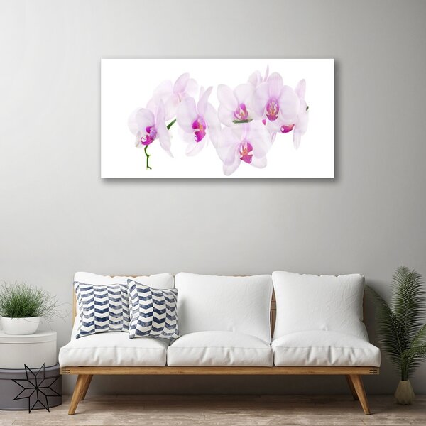 Quadro in vetro Fiori Pianta naturale 100x50 cm 2 appendini