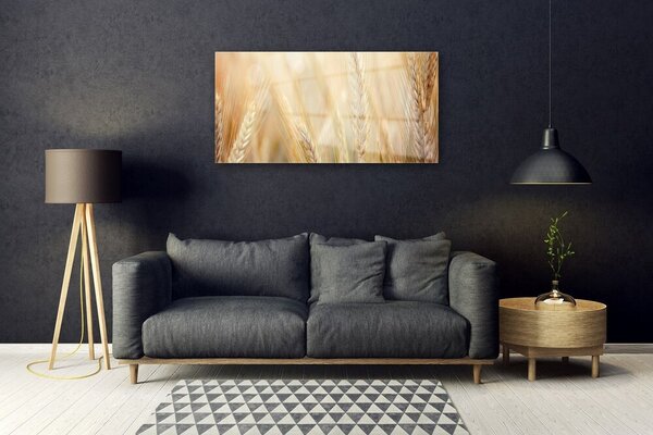 Quadro su vetro Grano Natura Pianta 100x50 cm 2 appendini