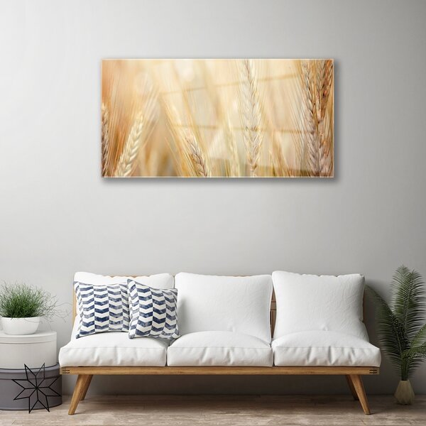 Quadro su vetro Grano Natura Pianta 100x50 cm 2 appendini