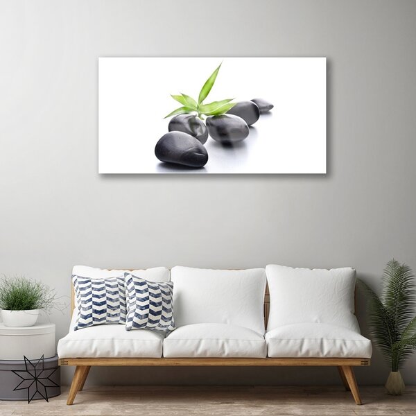 Quadro in vetro Pietre Arte 100x50 cm 2 appendini