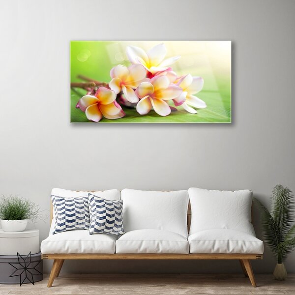 Quadro su vetro Fiori Pianta naturale 100x50 cm 2 appendini