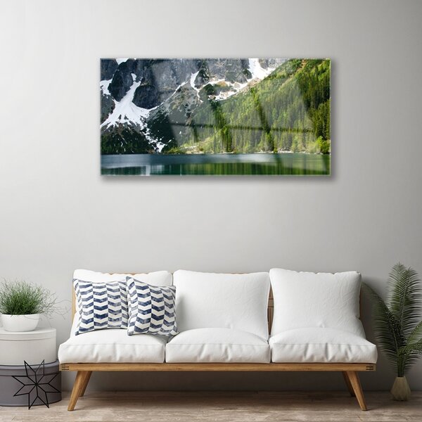 Quadro vetro Lago Foresta Montagne Paesaggio 100x50 cm 2 appendini