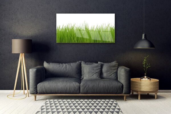 Quadro di vetro Erba Pianta Natura 100x50 cm 2 appendini