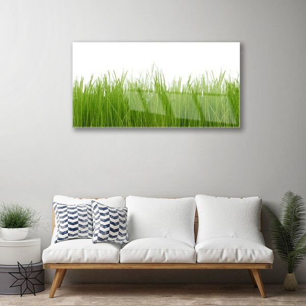 Quadro di vetro Erba Pianta Natura 100x50 cm 2 appendini