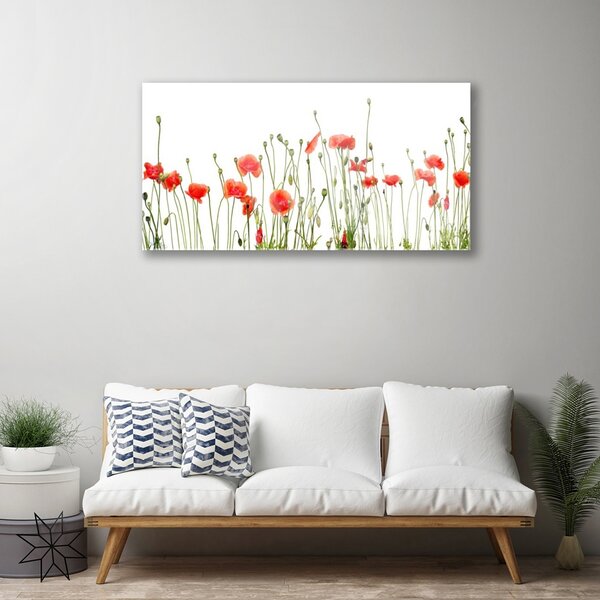 Quadro in vetro Papaveri Pianta Naturale 100x50 cm 2 appendini