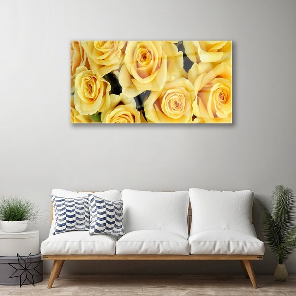 Quadro in vetro Rose Fiori Pianta 100x50 cm 2 appendini