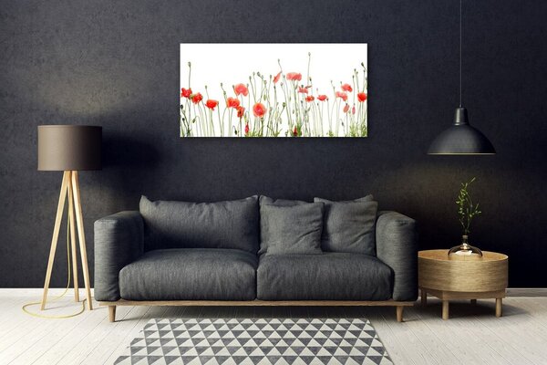 Quadro in vetro Papaveri Pianta Naturale 100x50 cm 2 appendini