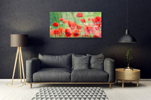 Quadro di vetro Papaveri Pianta Naturale 100x50 cm 2 appendini