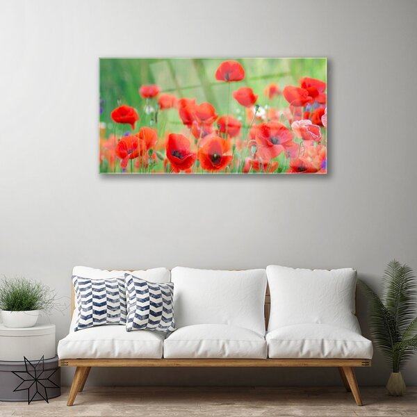 Quadro di vetro Papaveri Pianta Naturale 100x50 cm 2 appendini
