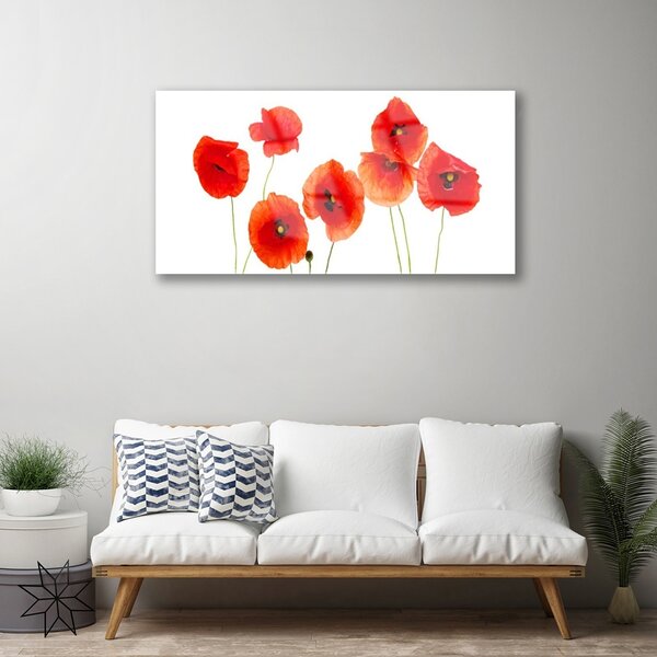 Quadro vetro Papaveri Pianta Naturale 100x50 cm 2 appendini