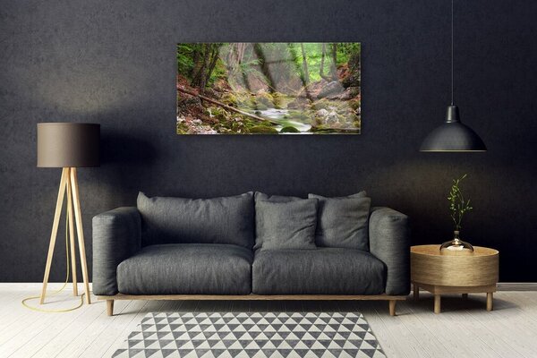 Quadro in vetro Foresta Muschio Natura 100x50 cm 2 appendini