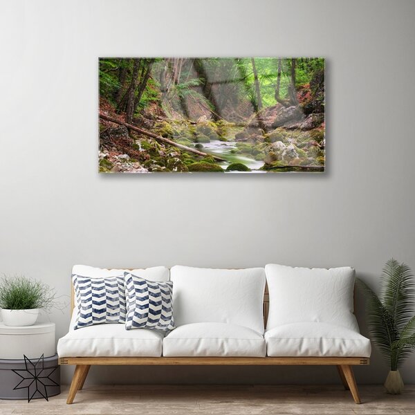 Quadro in vetro Foresta Muschio Natura 100x50 cm 2 appendini