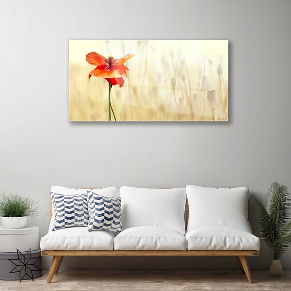 Quadro in vetro Papaveri Pianta Naturale 100x50 cm 2 appendini