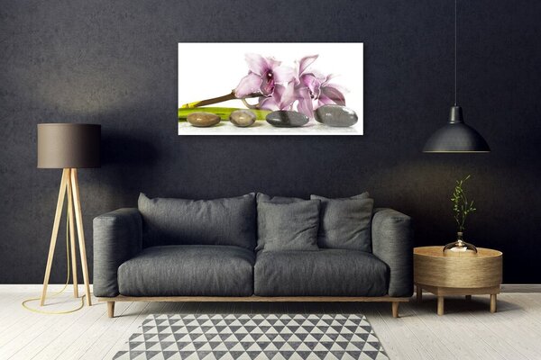 Quadro in vetro Pietre da fiore Pianta 100x50 cm 2 appendini
