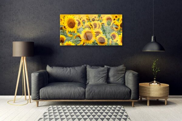 Quadro in vetro Girasoli Natura Pianta 100x50 cm 2 appendini