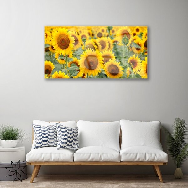 Quadro in vetro Girasoli Natura Pianta 100x50 cm 2 appendini