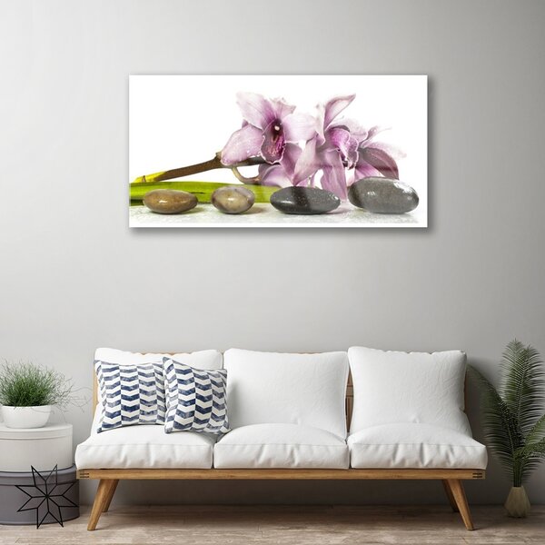 Quadro in vetro Pietre da fiore Pianta 100x50 cm 2 appendini