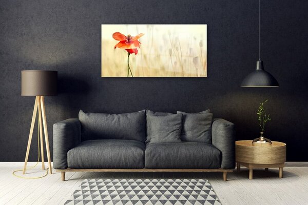 Quadro in vetro Papaveri Pianta Naturale 100x50 cm 2 appendini