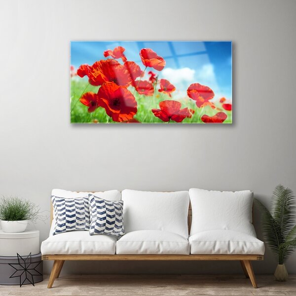 Quadro vetro Papaveri Pianta Naturale 100x50 cm 2 appendini