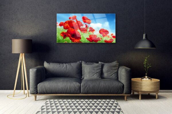 Quadro vetro Papaveri Pianta Naturale 100x50 cm 2 appendini