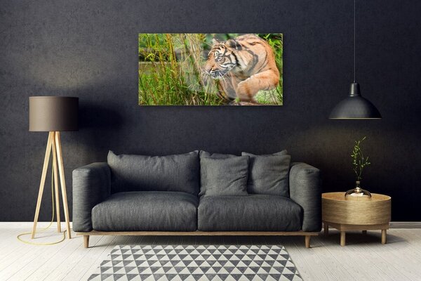 Quadro su vetro Animali tigre 100x50 cm 2 appendini