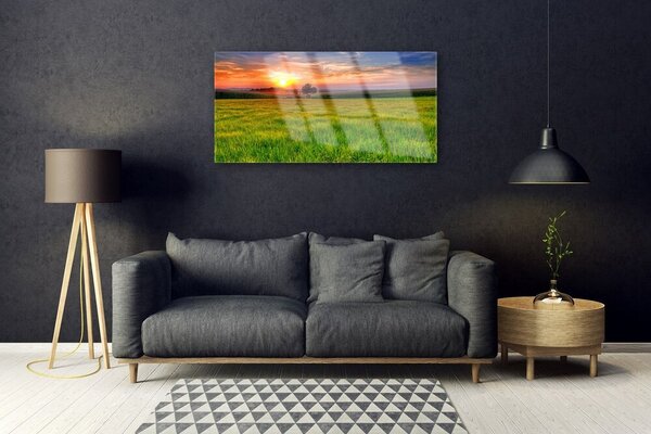 Quadro di vetro Prato Sole Natura 100x50 cm 2 appendini
