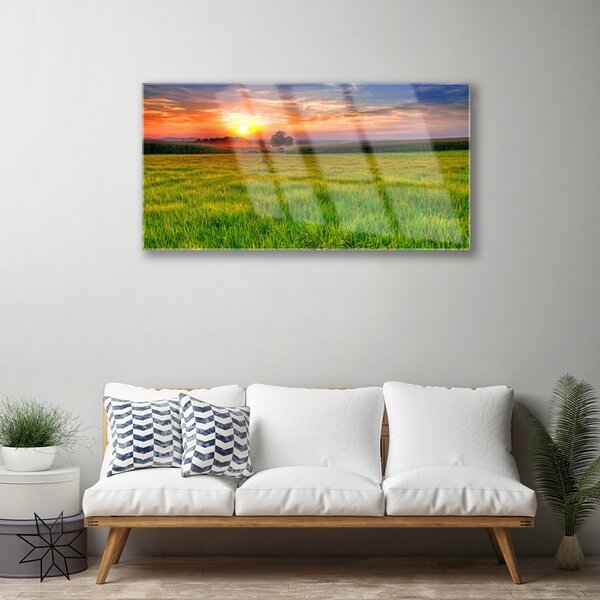 Quadro di vetro Prato Sole Natura 100x50 cm 2 appendini