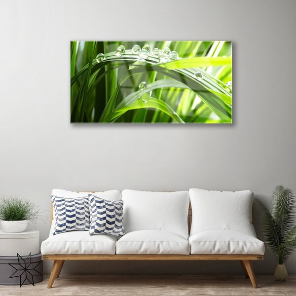 Quadro in vetro Erba Gocce d'acqua Natura 100x50 cm 2 appendini
