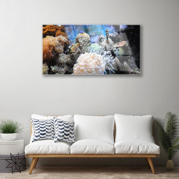 Quadro vetro Natura della barriera corallina 100x50 cm 2 appendini