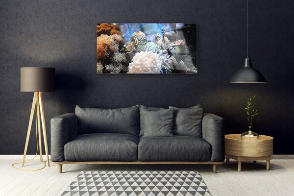Quadro vetro Natura della barriera corallina 100x50 cm 2 appendini