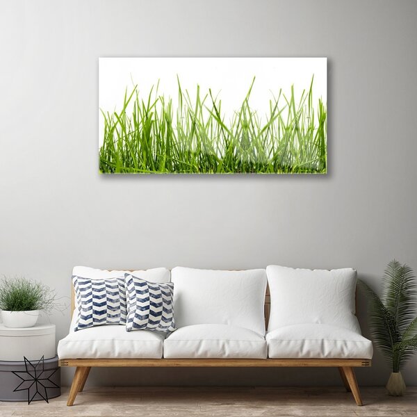 Quadro in vetro Erba Natura Pianta 100x50 cm 2 appendini