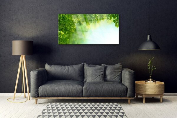 Quadro su vetro Foglie Natura Pianta 100x50 cm 2 appendini