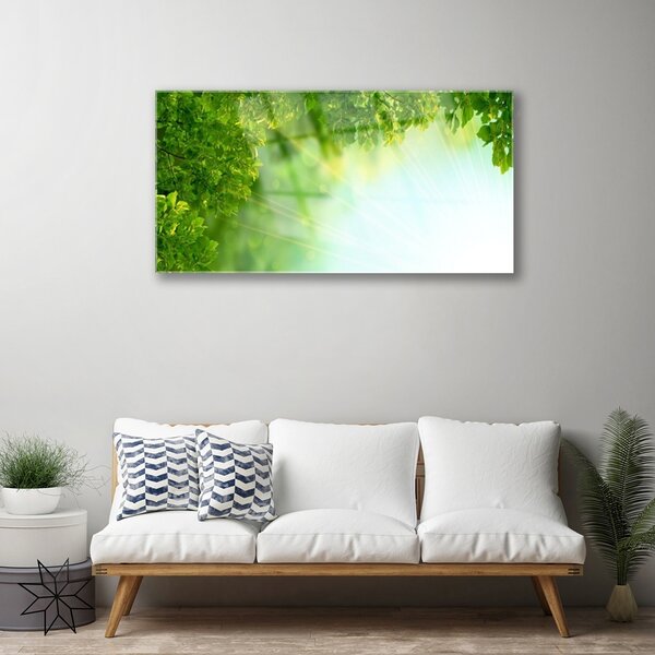 Quadro su vetro Foglie Natura Pianta 100x50 cm 2 appendini