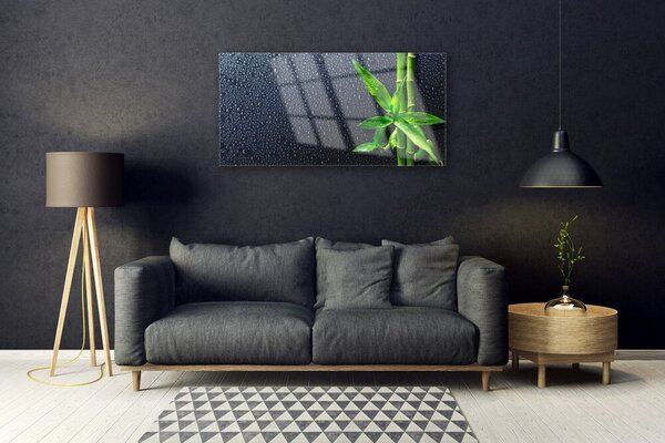 Quadro su vetro Pianta di bambù Natura 100x50 cm 2 appendini