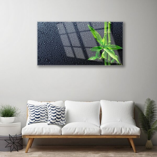 Quadro su vetro Pianta di bambù Natura 100x50 cm 2 appendini