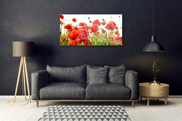 Quadro in vetro Papaveri Pianta Naturale 100x50 cm 2 appendini